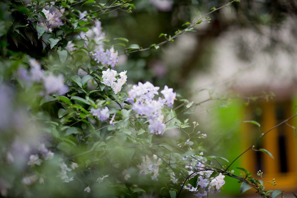 maison_tesson_KML_9972